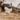 Hero Banner