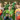 Hero Banner
