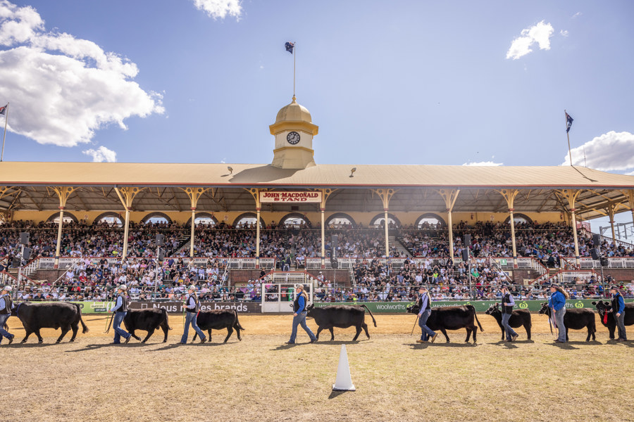 Ekka2024 3008 12951