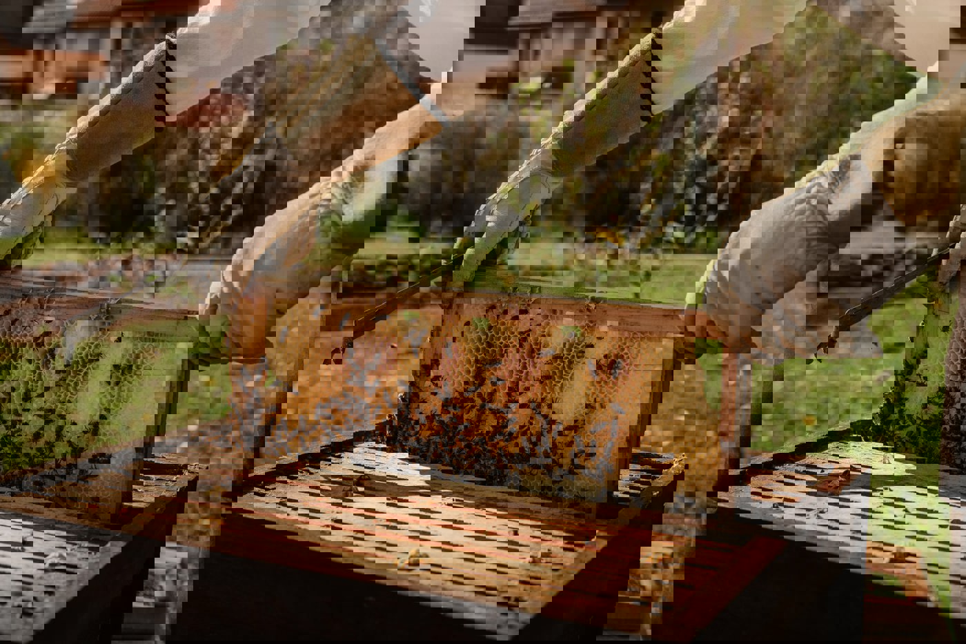 Hero Banner