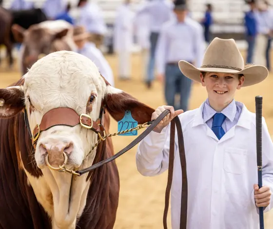 Beef Week Train Ekka Beef Week