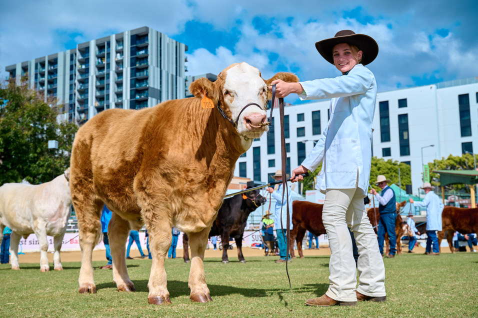 EKKA Steer 20220803 RCA 3679