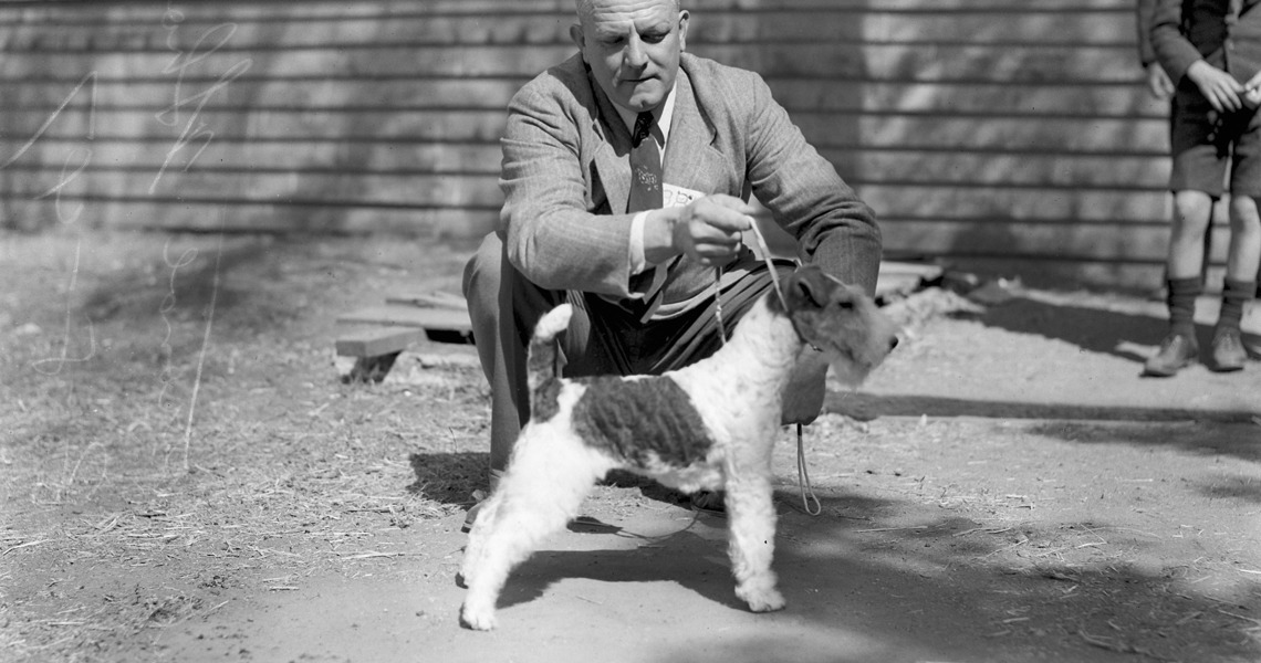 Man With A Schnauzer At The Brisbane Exhibition 1947 53050905557 O