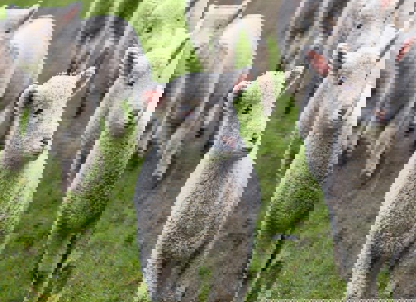 Hero Banner