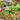 Hero Banner