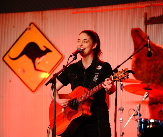 Country Music Stockys (3)