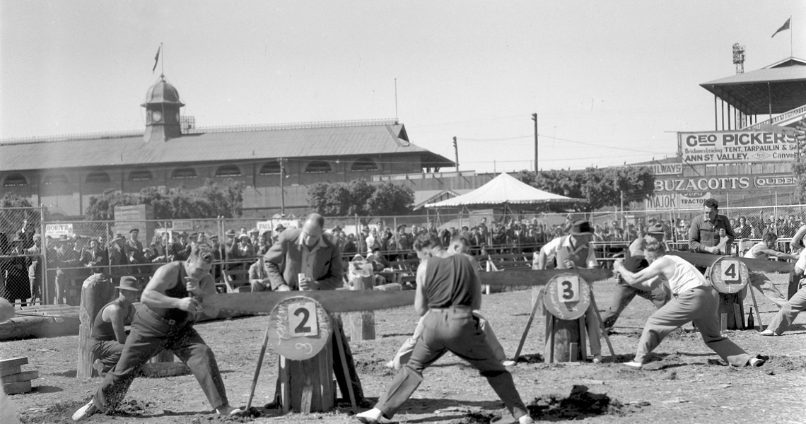 Crosscut Saw Competition At The Royal National Show At Exhibition Grounds Brisbane 1947 53051994408 O